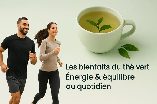 Les bienfaits du thé vert – énergie douce et antioxydants