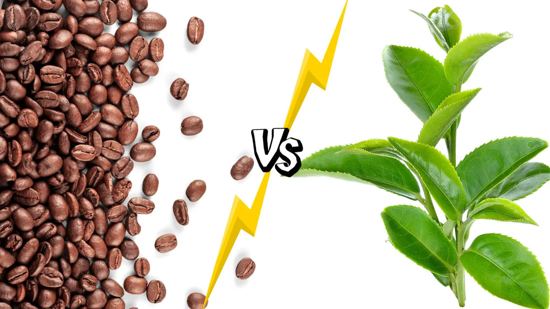 Caféine vs théine – grains de café face à des feuilles de thé, comparaison des deux sources d’énergie