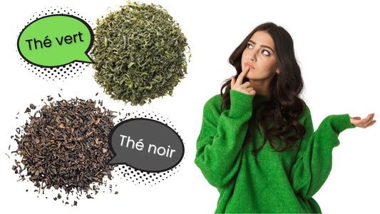 Thé vert ou thé noir : quelles différences ?