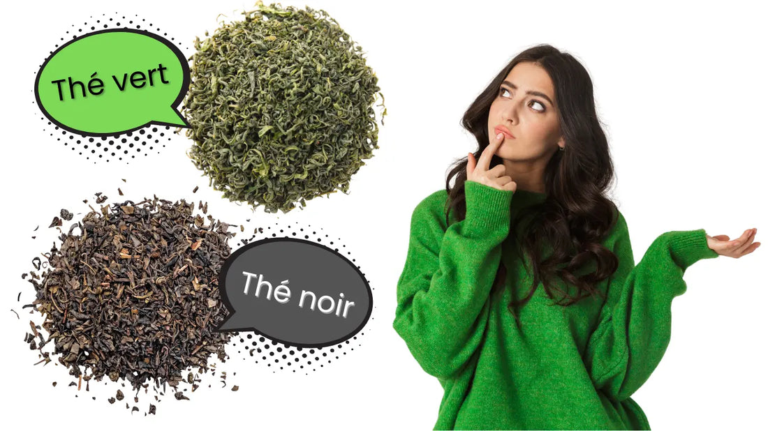 Thé vert ou thé noir : quelles différences ?