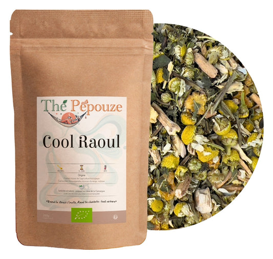 Infusion bio “Cool Raoul” – sachet kraft 200 g et plantes en vrac (camomille, ashwagandha, écorces d’orange)