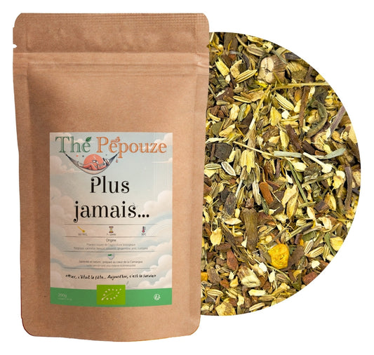 Infusion bio Plus Jamais Thé Pépouze – sachet kraft 200 g avec visuel des plantes en vrac